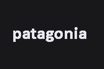 Patagonia Gift cards