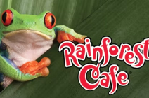 Rainforest Cafe Gift cards